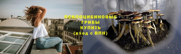 дживик Белоозёрский