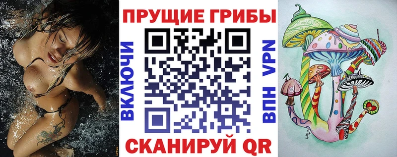 Галлюциногенные грибы GOLDEN TEACHER  продажа наркотиков  Саранск 