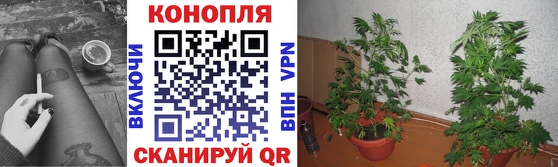 Шишки марихуана AK-47  Саранск 